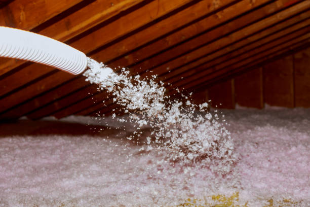 Best Insulation Inspection Services  in Cornville, AZ