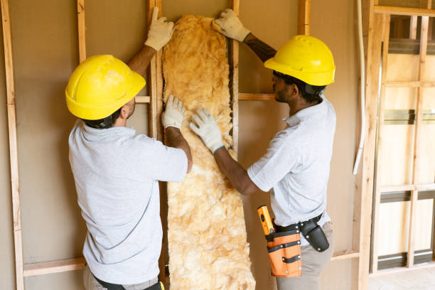 Best Cellulose Insulation  in Cornville, AZ