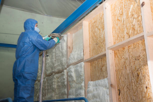 Best Cellulose Insulation  in Cornville, AZ