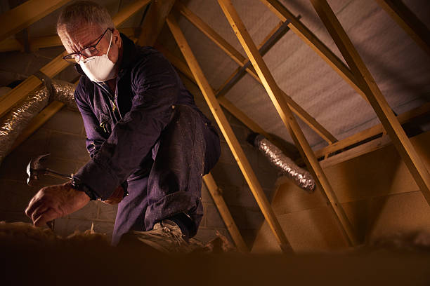 Best Insulation for New Construction  in Cornville, AZ